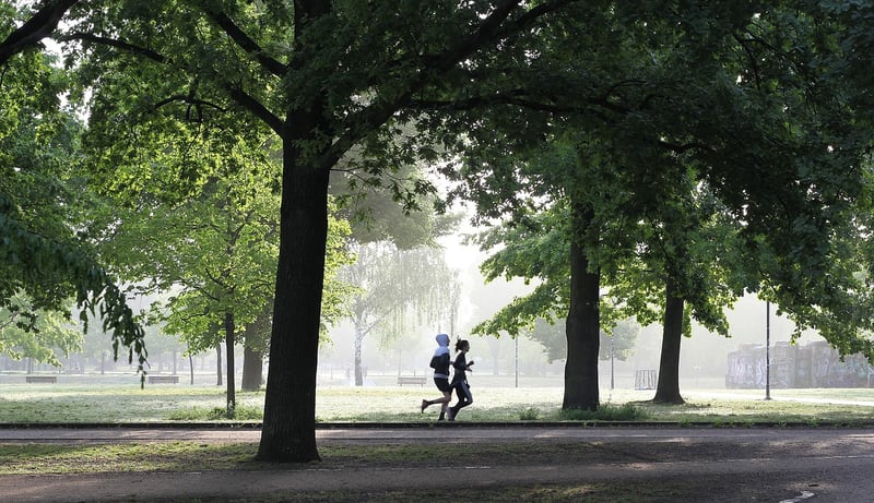 Physical Exercise